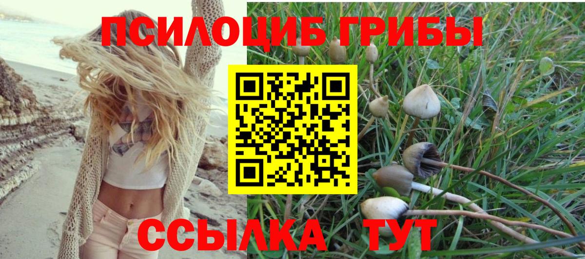 Галлюциногенные грибы Psilocybe  Вход с VPN  Волгоград  Псилоцибиновые грибы ЛСД 