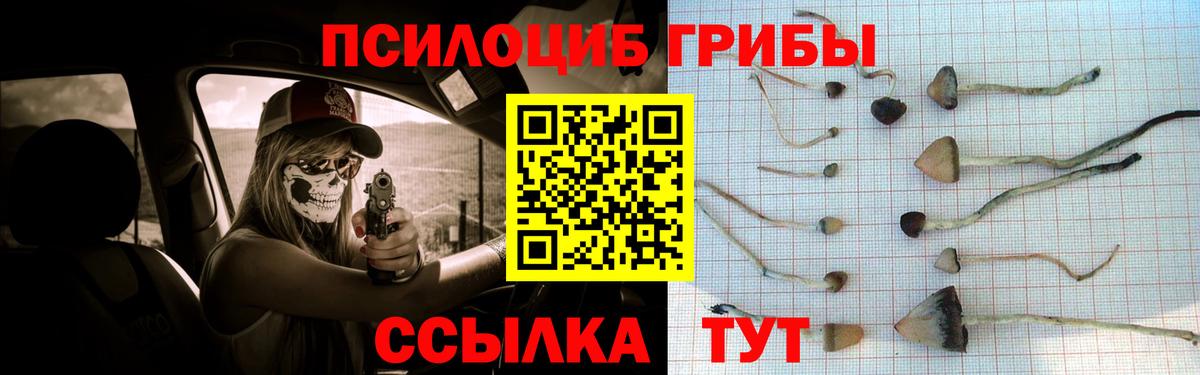 Галлюциногенные грибы мицелий Волгоград